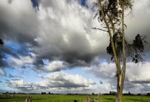 记者：恩迪迪将在今天接受贝西克塔斯体检，转会费950万欧元，贝恩德·蒂斯