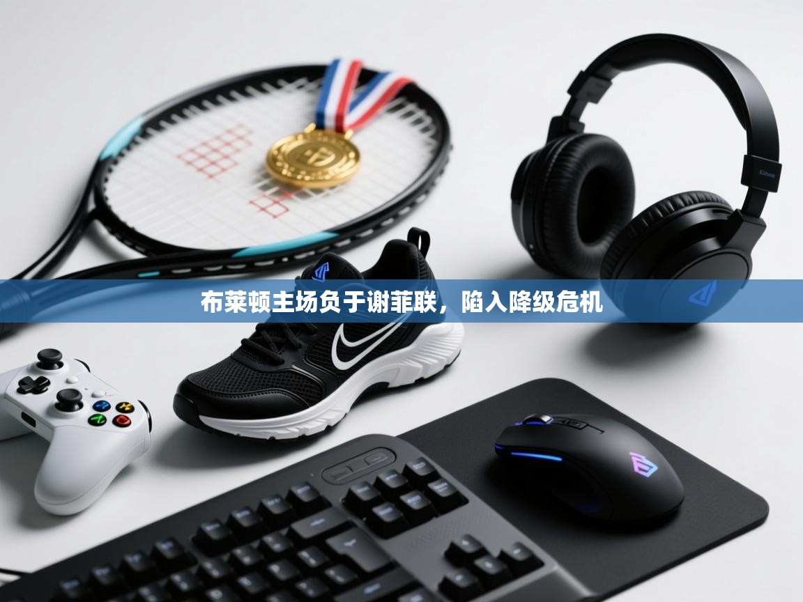 布莱顿主场负于谢菲联,陷入降级危机 第2张