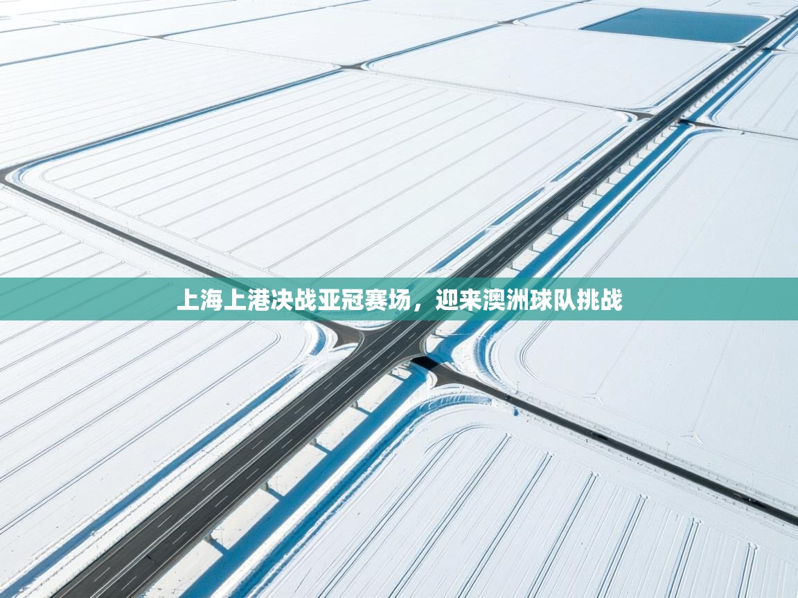上海上港决战亚冠赛场,迎来澳洲球队挑战 第2张