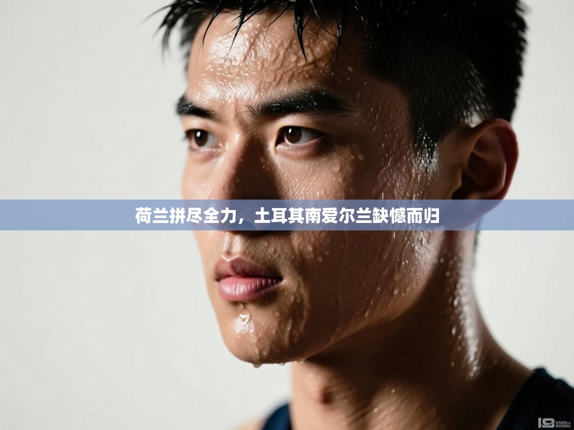 荷兰拼尽全力，土耳其南爱尔兰缺憾而归  第1张