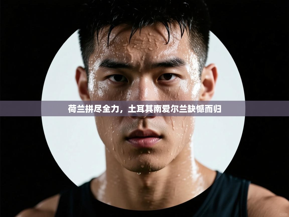 荷兰拼尽全力，土耳其南爱尔兰缺憾而归  第2张