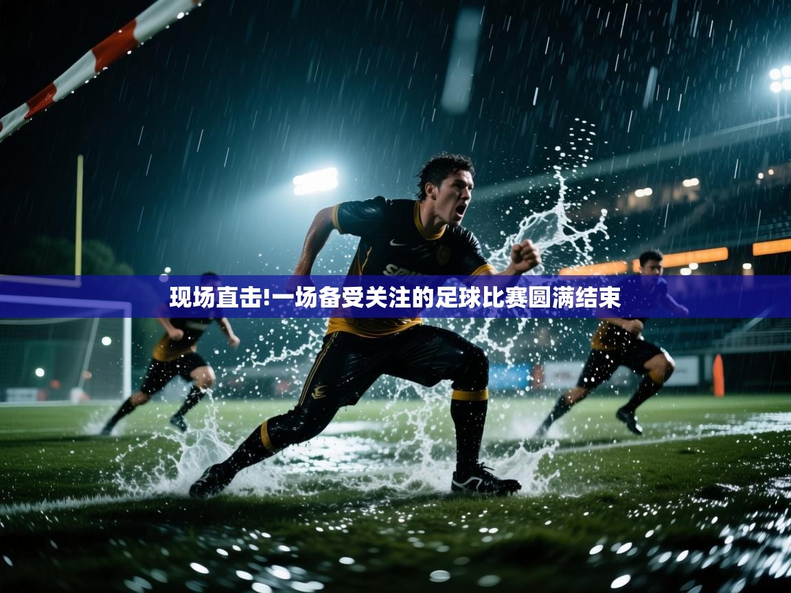 现场直击!一场备受关注的足球比赛圆满结束